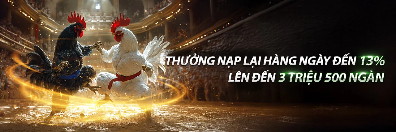 Tin tức ea888 Đá Gà